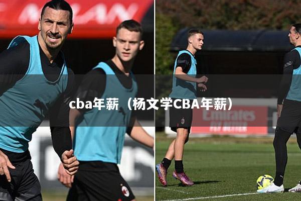 cba年薪（杨文学CBA年薪）