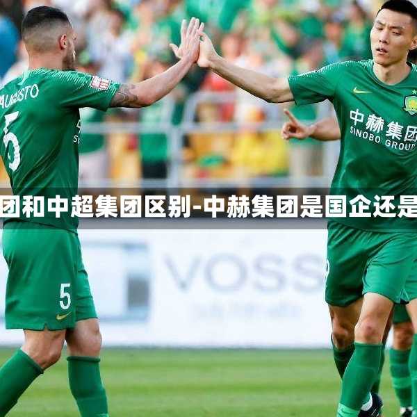 中赫集团和中超集团区别-中赫集团是国企还是央企