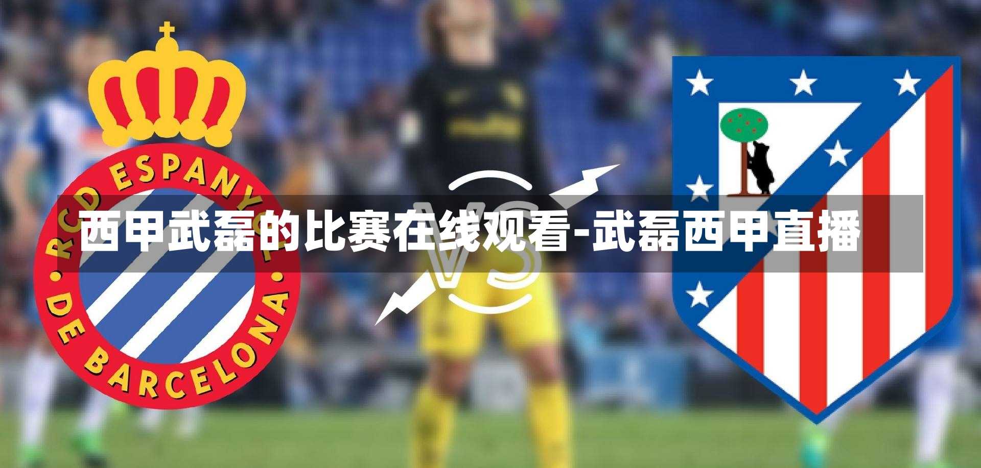 西甲武磊的比赛在线观看-武磊西甲直播