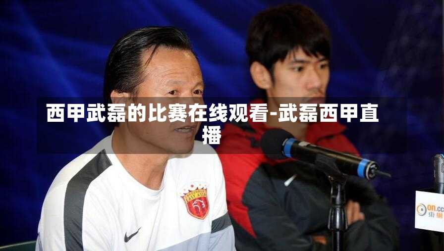 西甲武磊的比赛在线观看-武磊西甲直播