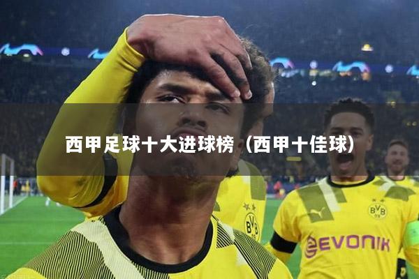 西甲足球十大进球榜（西甲十佳球）