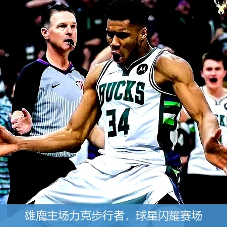 雄鹿主场力克步行者,球星闪耀赛场