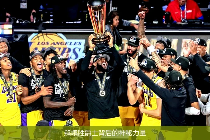 鹈鹕胜爵士背后的神秘力量