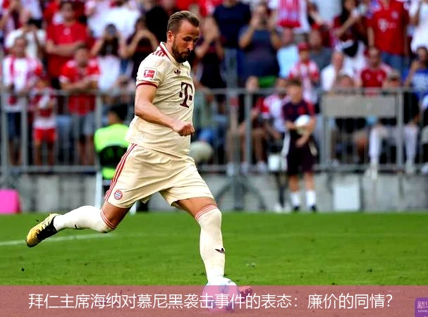 拜仁主席海纳对慕尼黑袭击事件的表态：廉价的同情？